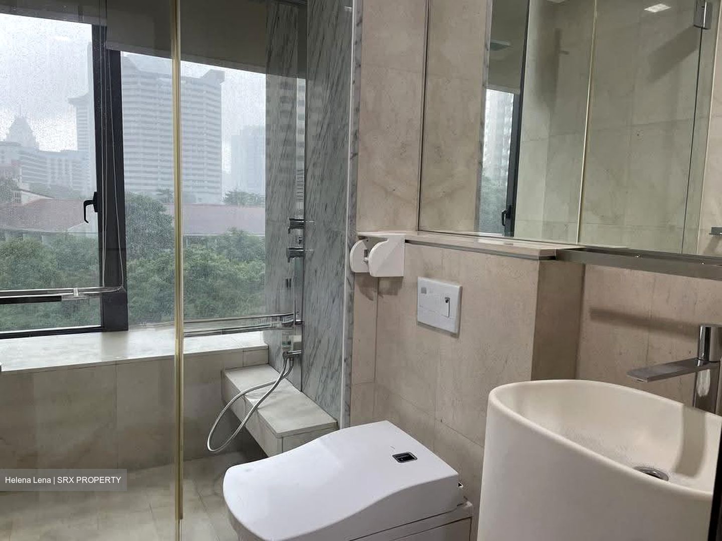 The Scotts Tower (D9), Condominium #636911541